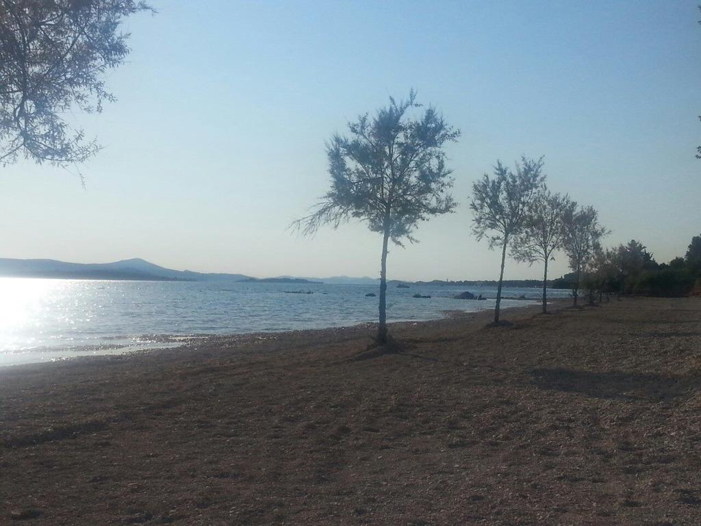Family Apartment B&B Biograd Na Moru Exterior photo